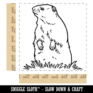 Groundhog Woodchuck Standing Up Square Rubber Stamp for Stamping Crafting