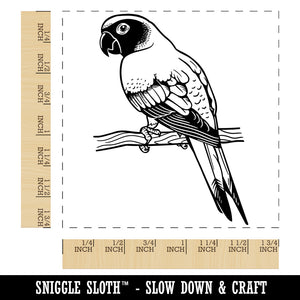 Sun Conure Parrot on a Branch Square Rubber Stamp for Stamping Crafting