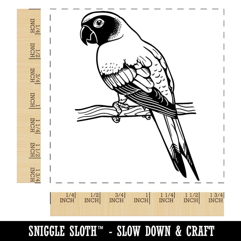 Sun Conure Parrot on a Branch Square Rubber Stamp for Stamping Crafting