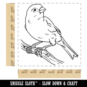 Canary Songbird Bird Square Rubber Stamp for Stamping Crafting