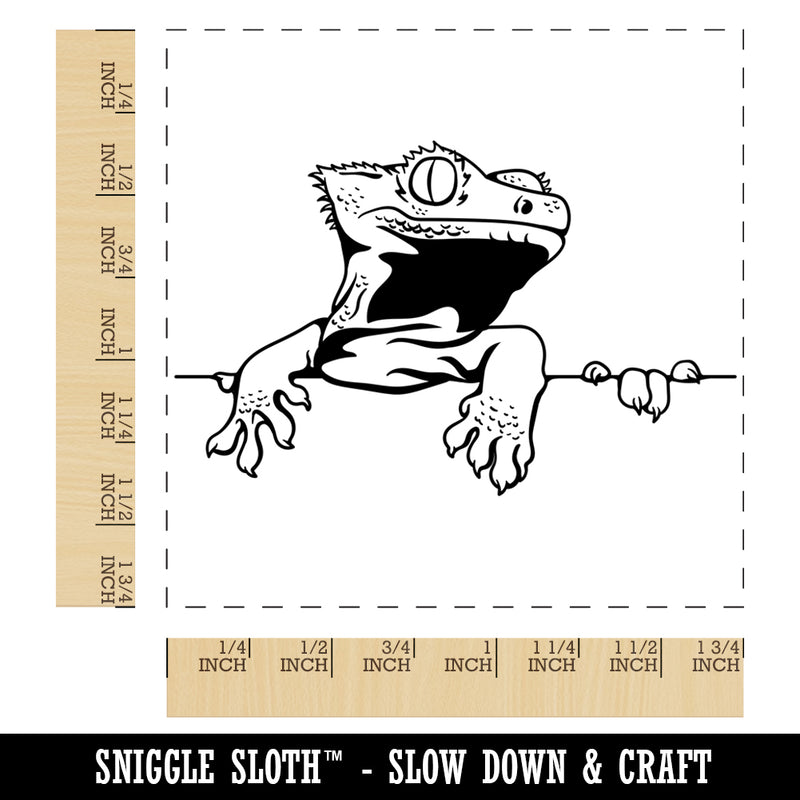 Crested Gecko on Ledge Lizard Square Rubber Stamp for Stamping Crafting