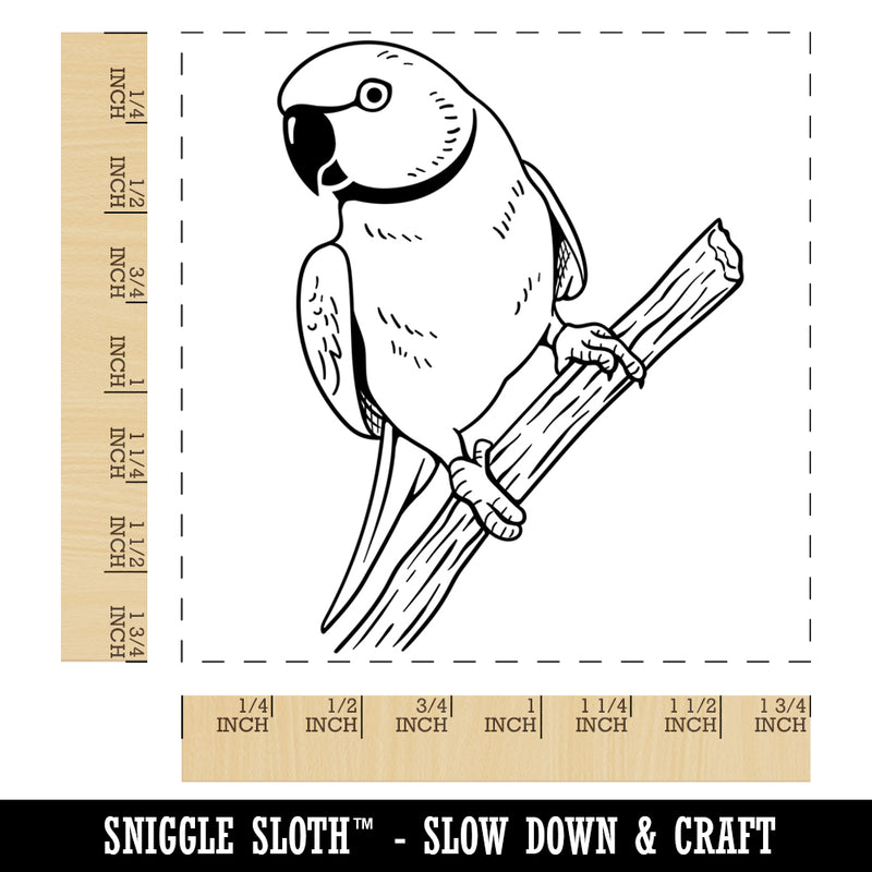 Indian Ring-Necked Parakeet Rose-Ringed Bird Parrot Square Rubber Stamp for Stamping Crafting