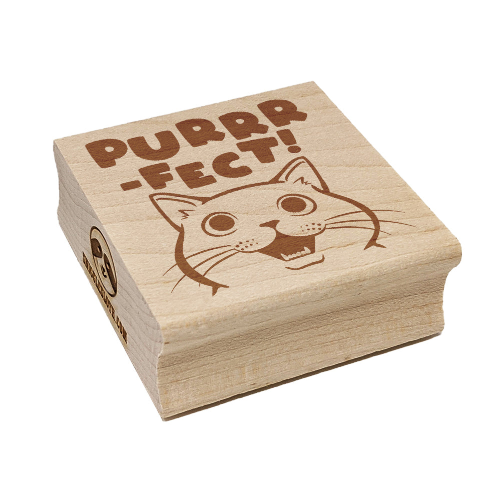 Purrrfect Perfect Cat Square Rubber Stamp for Stamping Crafting