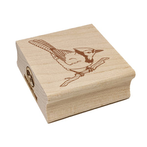 Blue Jay Bird on Branch Square Rubber Stamp for Stamping Crafting