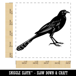 Brash Great-Tailed Grackle Black Bird Square Rubber Stamp for Stamping Crafting