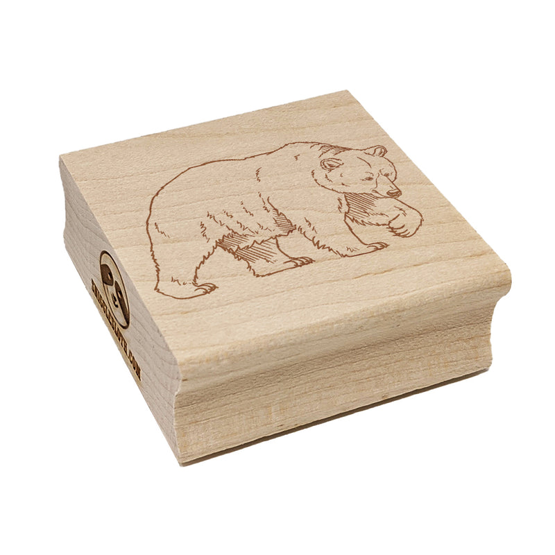 Curious Grizzly Bear Square Rubber Stamp for Stamping Crafting