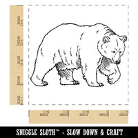 Curious Grizzly Bear Square Rubber Stamp for Stamping Crafting