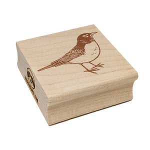 Delightful American Robin Bird Square Rubber Stamp for Stamping Crafting