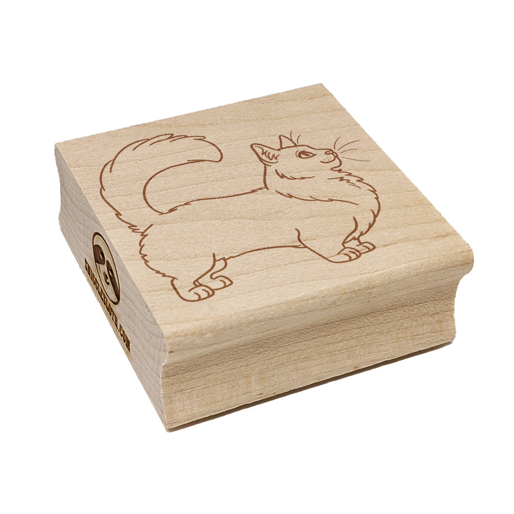 Fun-Loving Munchkin Cat Square Rubber Stamp for Stamping Crafting