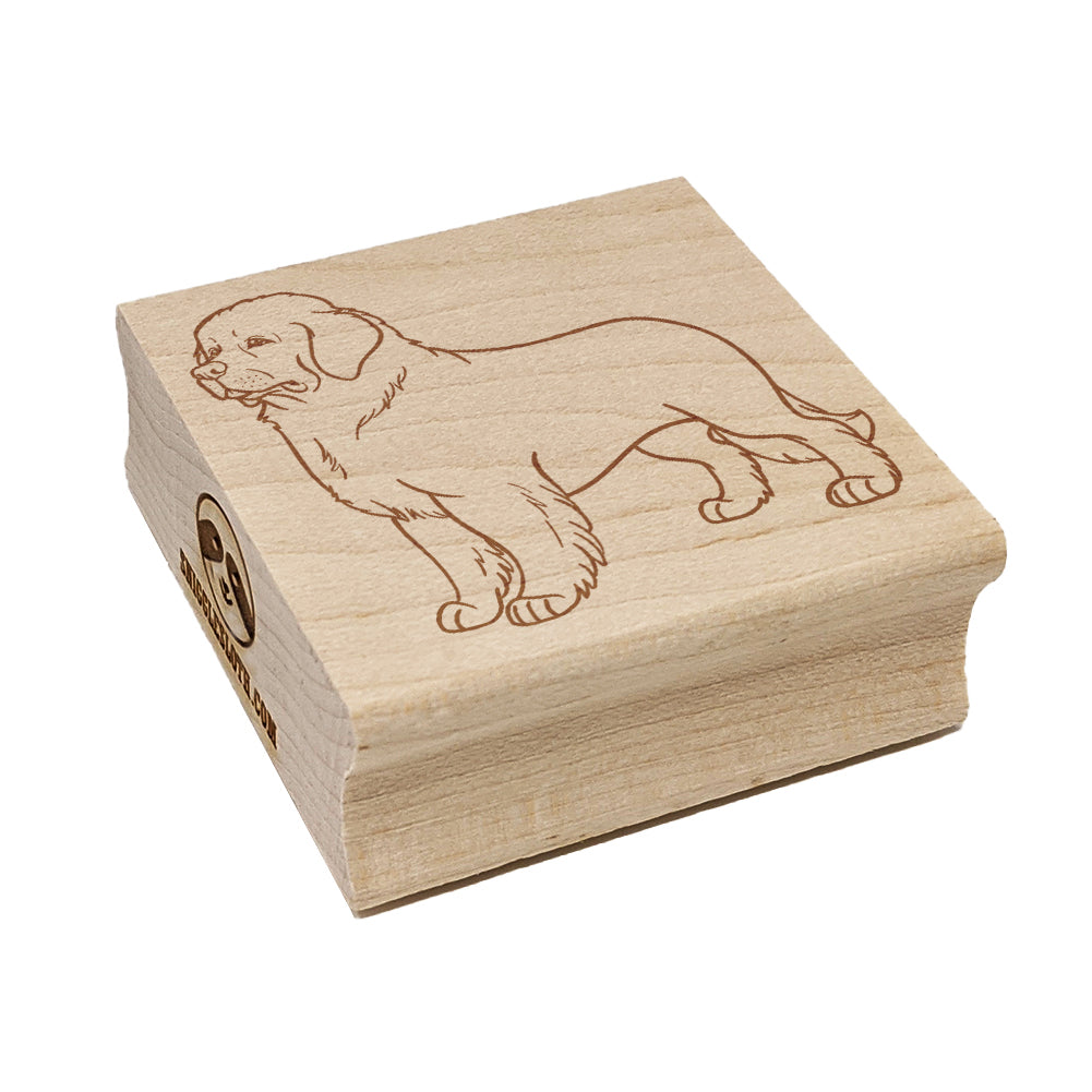 Gentle Newfoundland Pet Dog Square Rubber Stamp for Stamping Crafting