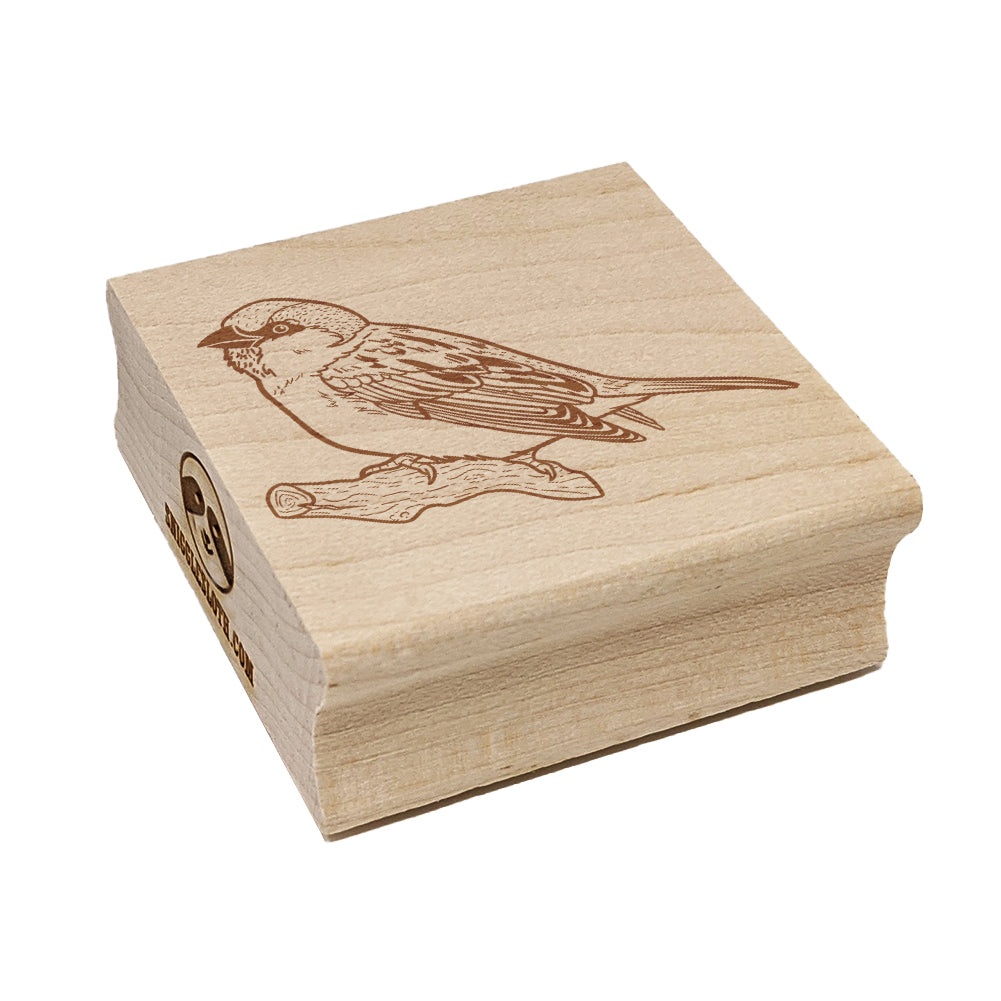 House Sparrow Bird on Branch Square Rubber Stamp for Stamping Crafting