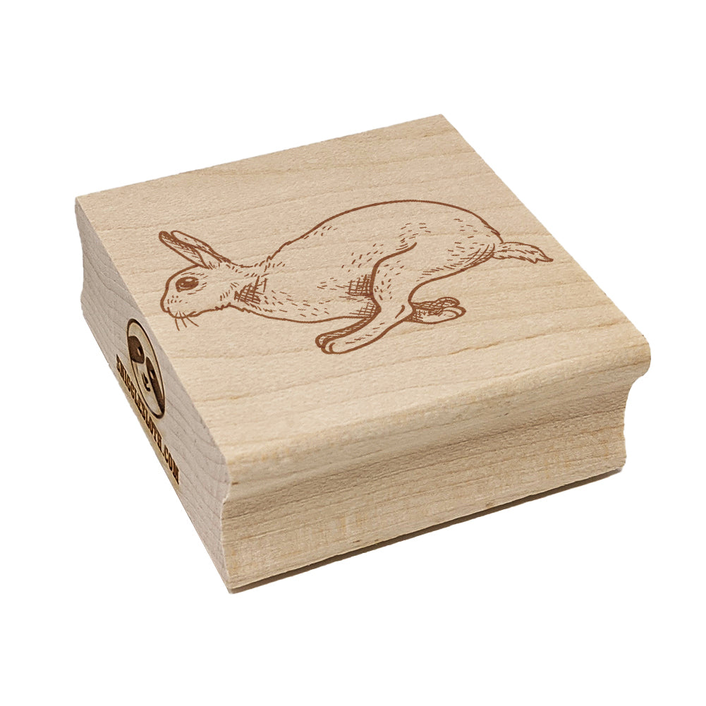 Jumping Running Rabbit Square Rubber Stamp for Stamping Crafting