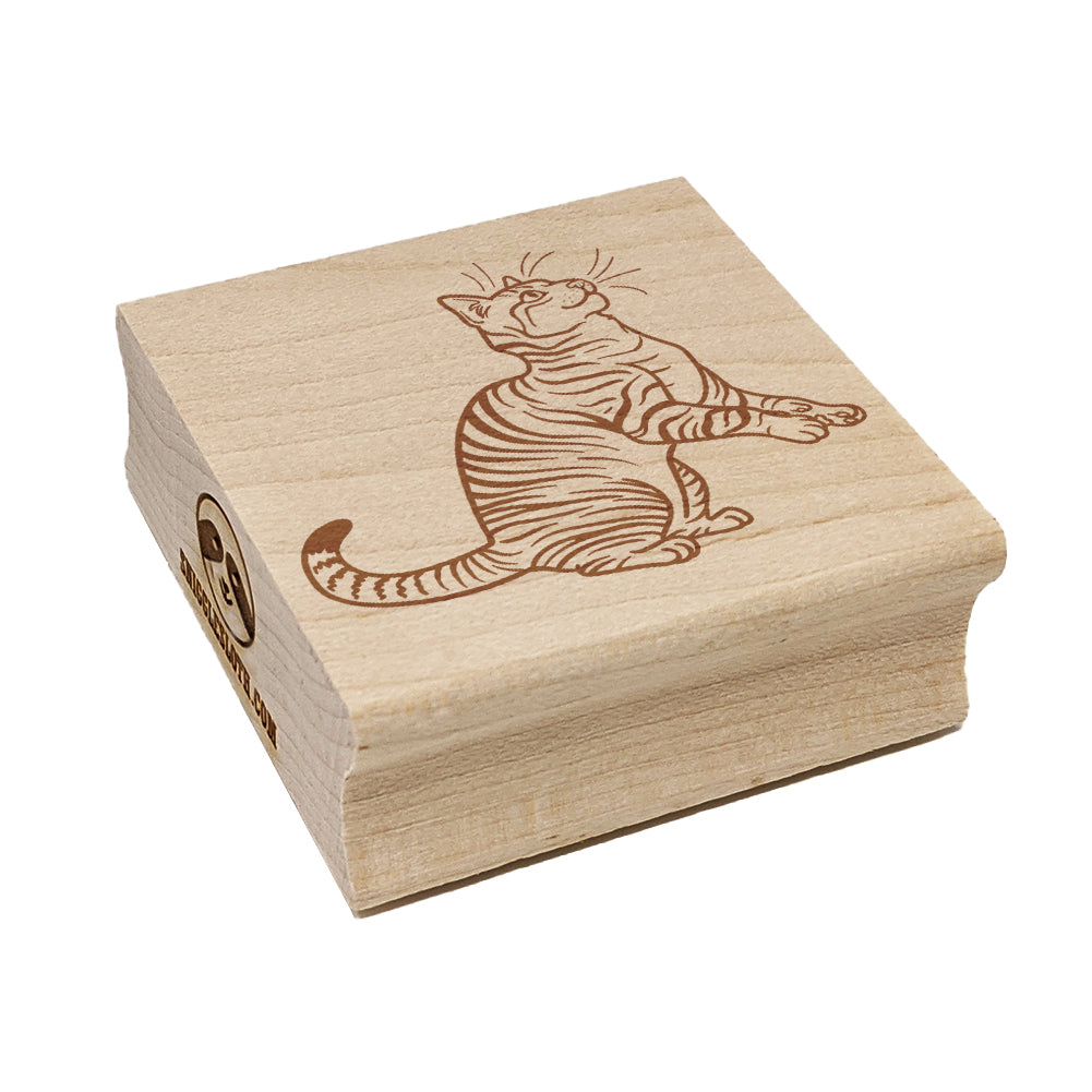 Playful Tabby Cat Domestic Shorthair Square Rubber Stamp for Stamping Crafting