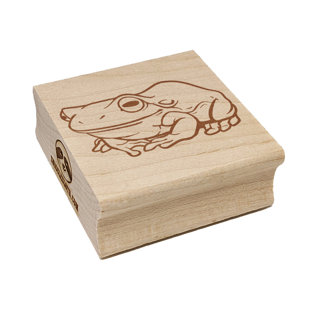 Happy Little Tree Frog Square Rubber Stamp for Stamping Crafting