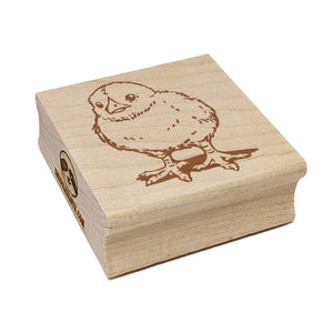 Realistic Baby Chick Chicken Square Rubber Stamp for Stamping Crafting