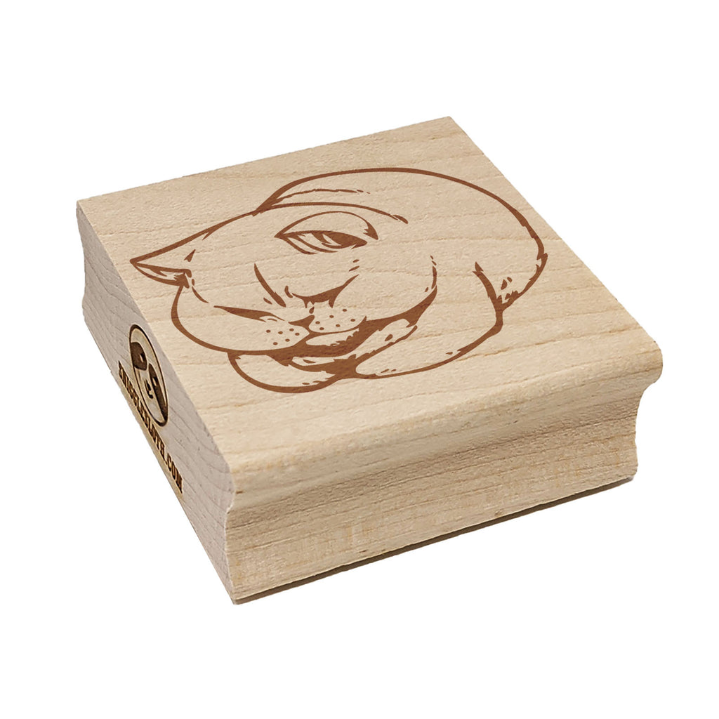 Chonk the Chubby Fat Cat Square Rubber Stamp for Stamping Crafting