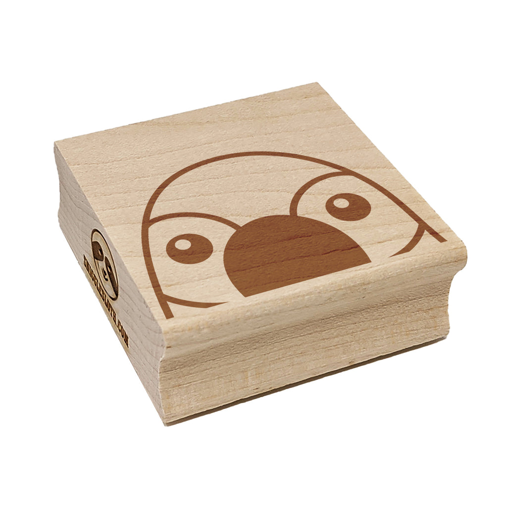 Peeking Parrot Bird Square Rubber Stamp for Stamping Crafting
