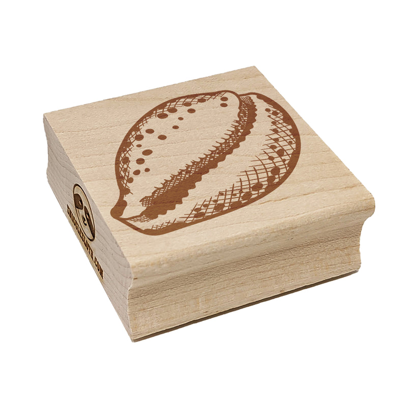 Cyprae Tigris Cowrie Hashmark Shaded Shell Beach Seashell Square Rubber Stamp for Stamping Crafting