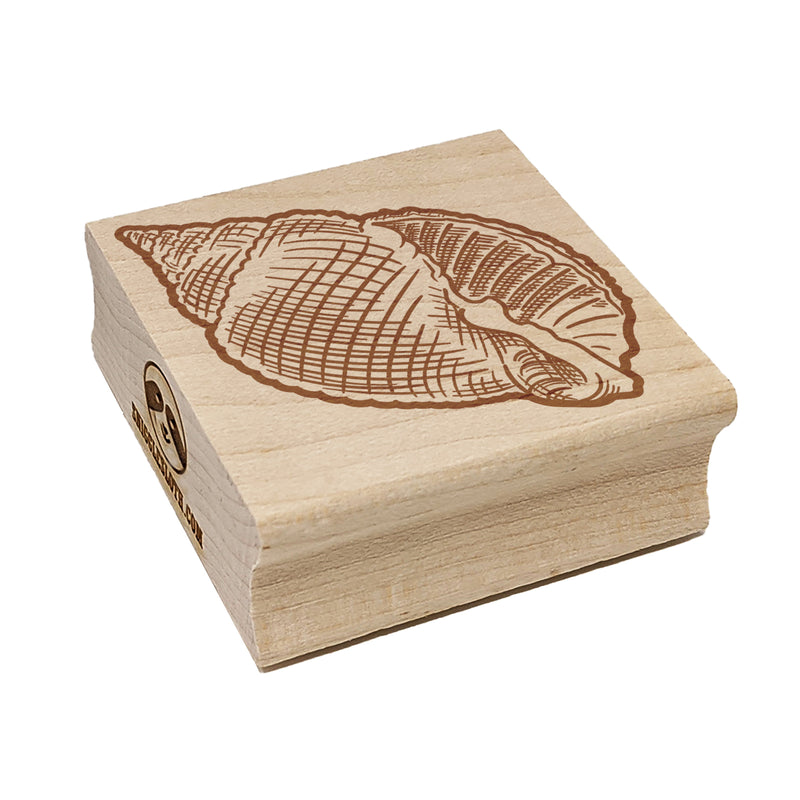 Nutmeg Shell Hashmark Shaded Beach Seashell Square Rubber Stamp for Stamping Crafting