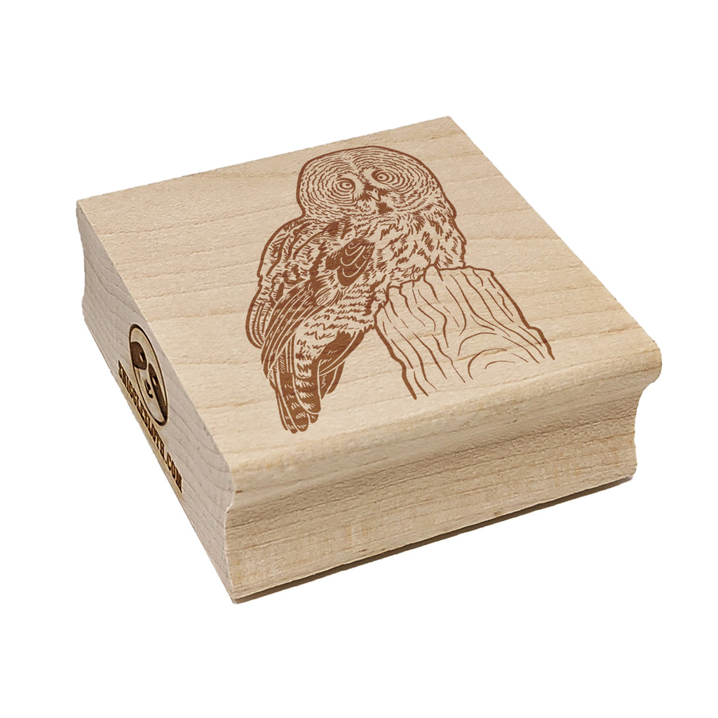 Wise Great Gray Owl Square Rubber Stamp for Stamping Crafting