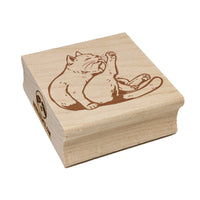 Cute Cat Grooming Leg Square Rubber Stamp for Stamping Crafting