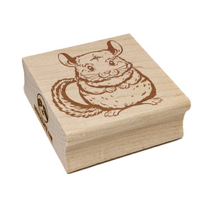 Huggable and Fluffy Chinchilla Square Rubber Stamp for Stamping Crafting