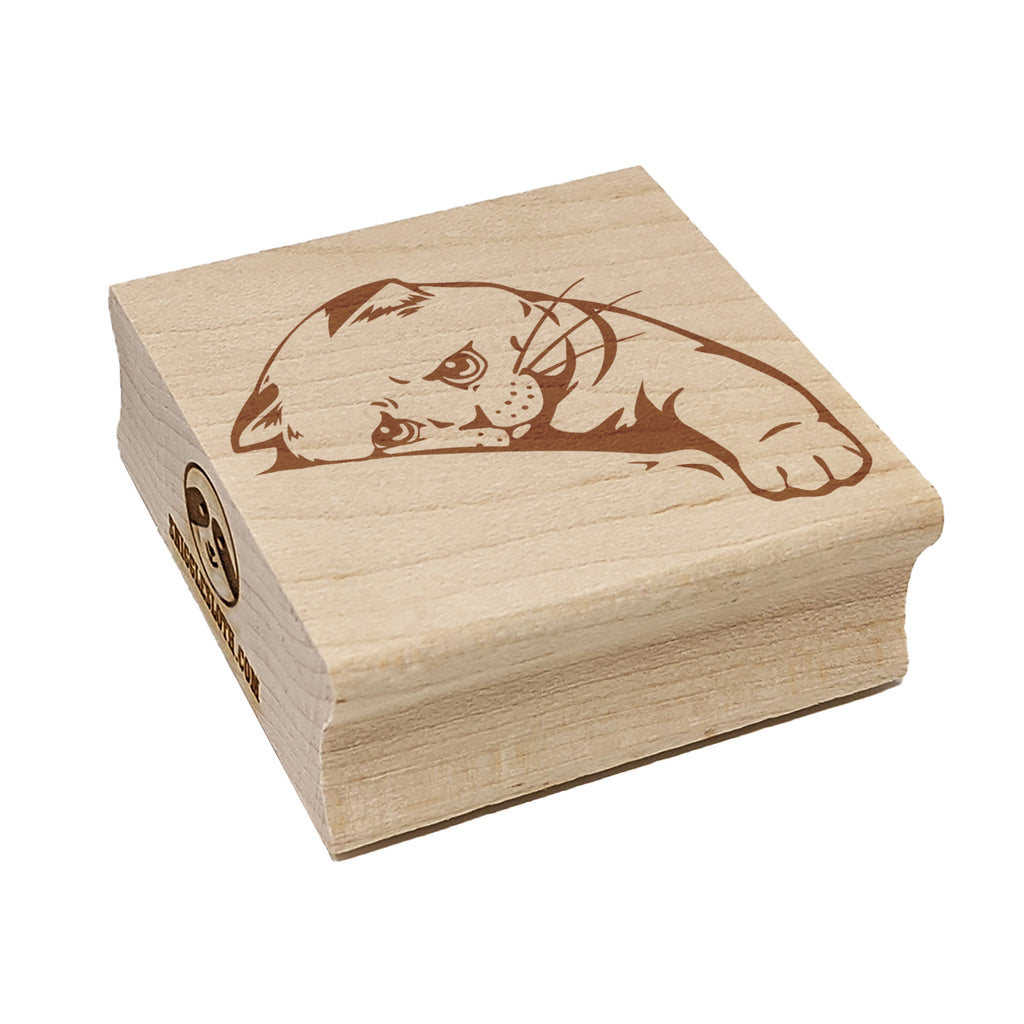 Sad Cat Kitten Looking Longingly Square Rubber Stamp for Stamping Crafting