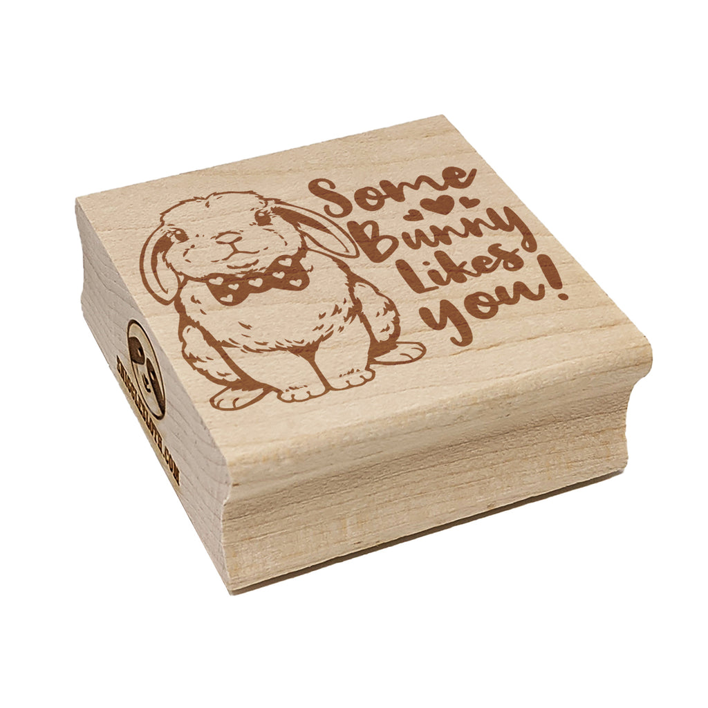 Some Bunny Likes You Valentine's Day Rabbit Love Square Rubber Stamp for Stamping Crafting