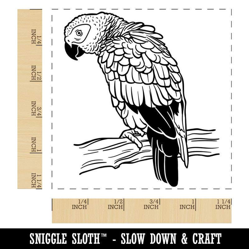 African Grey Parrot on a Branch Square Rubber Stamp for Stamping Crafting