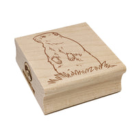 Groundhog Woodchuck Standing Up Square Rubber Stamp for Stamping Crafting