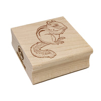 Nibbling Chipmunk Square Rubber Stamp for Stamping Crafting