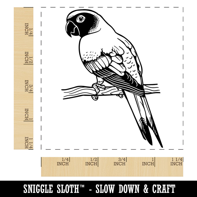 Sun Conure Parrot on a Branch Square Rubber Stamp for Stamping Crafting