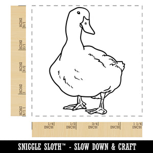 White Pekin Duck Square Rubber Stamp for Stamping Crafting