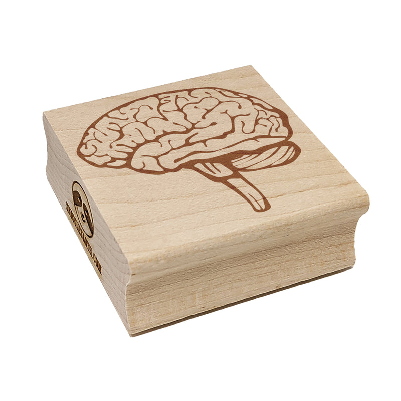 Human Brain with Cerebellum and Medulla Oblongata Square Rubber Stamp for Stamping Crafting