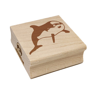 Curious Dolphin Square Rubber Stamp for Stamping Crafting