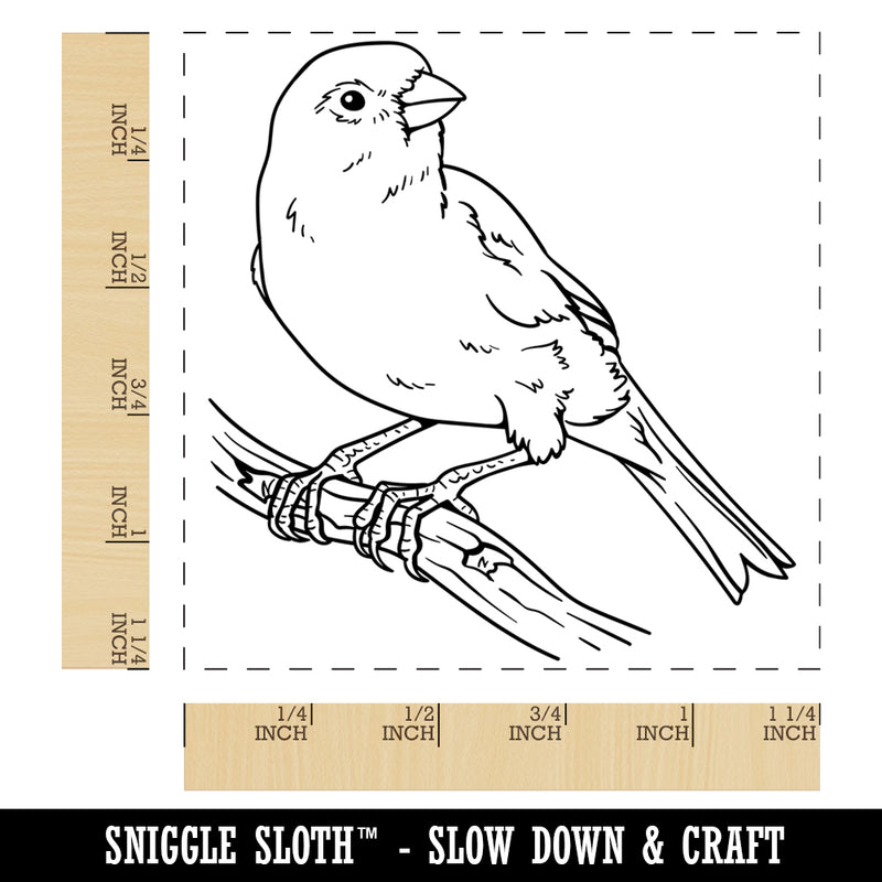 Canary Songbird Bird Square Rubber Stamp for Stamping Crafting