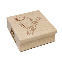 Indian Ring-Necked Parakeet Rose-Ringed Bird Parrot Square Rubber Stamp for Stamping Crafting
