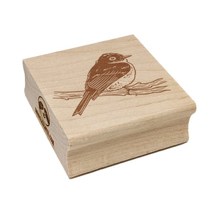 Phoebe Bird on a Branch Square Rubber Stamp for Stamping Crafting