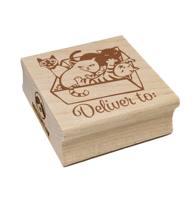 Box of Cats Kittens Deliver To Square Rubber Stamp for Stamping Crafting