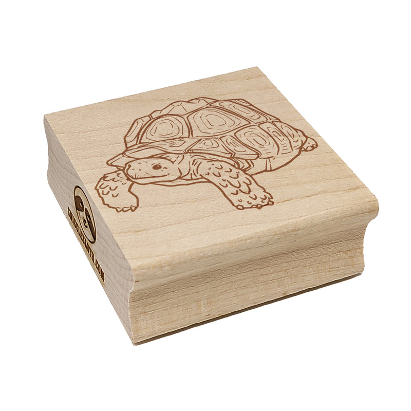 Curious Sulcata Tortoise Turtle Square Rubber Stamp for Stamping Crafting