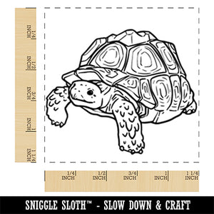 Curious Sulcata Tortoise Turtle Square Rubber Stamp for Stamping Crafting