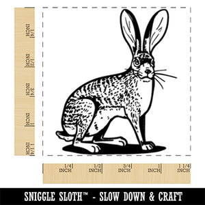 Jackrabbit Jack Rabbit Hare Bunny Square Rubber Stamp for Stamping Crafting