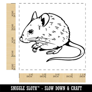 Realistic Mouse Rodent Square Rubber Stamp for Stamping Crafting