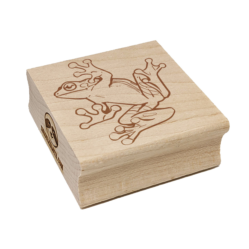 Sticky Tree Frog Belly Square Rubber Stamp for Stamping Crafting