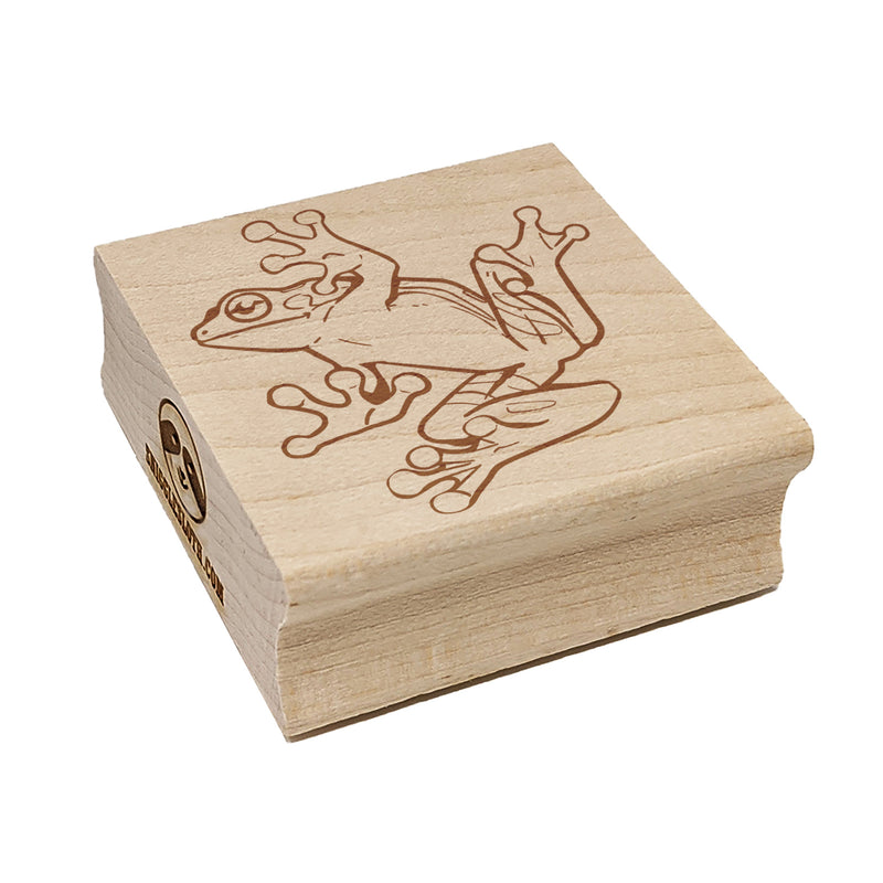 Sticky Tree Frog Belly Square Rubber Stamp for Stamping Crafting