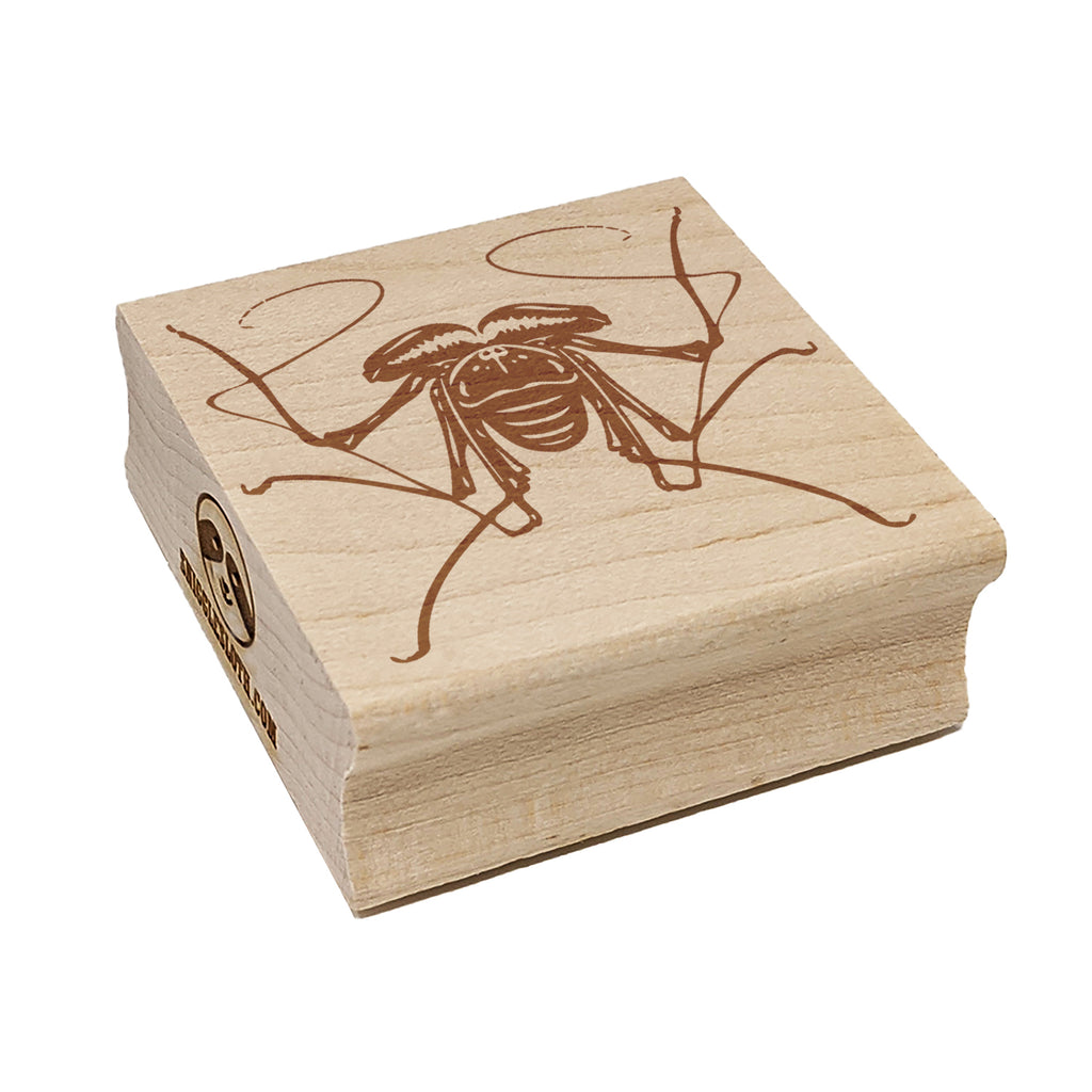 Tailless Whip Scorpion Creepy Bug Square Rubber Stamp for Stamping Crafting