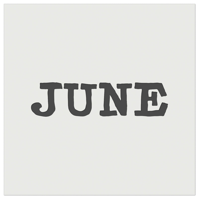 June Month Calendar Fun Text Wall Cookie DIY Craft Reusable Stencil