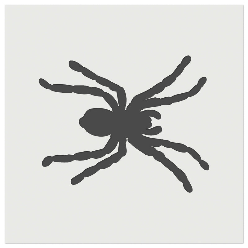 Spider Solid Wall Cookie DIY Craft Reusable Stencil