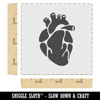 Realistic Heart Four Chambers Anatomy Biology Love Science Wall Cookie DIY Craft Reusable Stencil