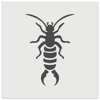 Earwig Insect Bug with Pincer Tail Wall Cookie DIY Craft Reusable Stencil